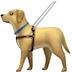 dog image