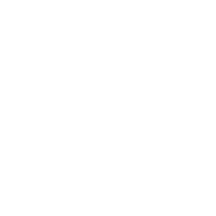 AiDot icon