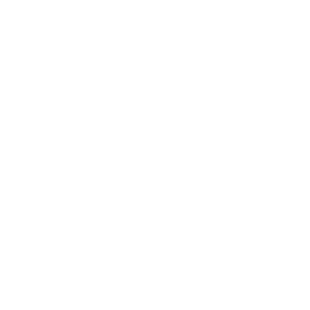 Streamer.bot icon