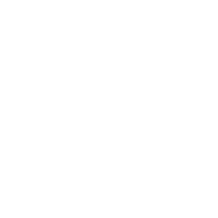 NetHome Plus AC icon