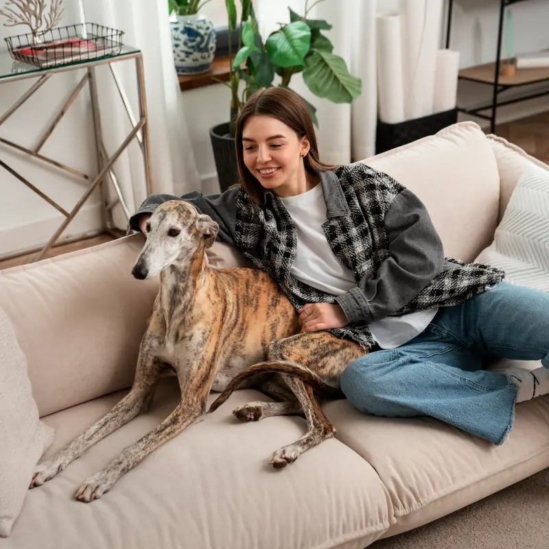 BarmeniaGothaer Tierhalterhaftpflicht: Eine junge Frau sitzt mit ihrem Windhund auf der Couch und lacht BarmeniaGothaer Tierhalterhaftpflicht: Eine junge Frau sitzt mit ihrem Windhund auf der Couch und lacht