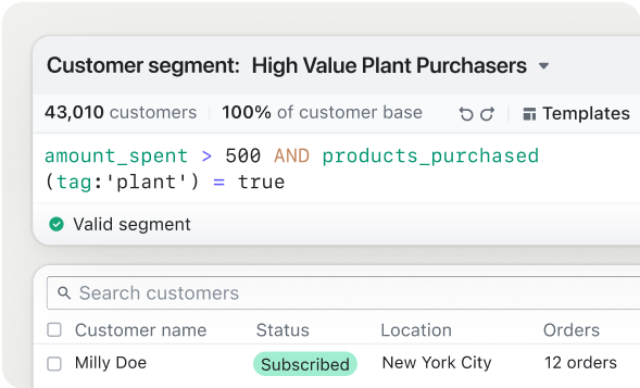 An internal user interface showing a segment of customers who are 'high value plant purchasers' with the logic for which customers fall into that group.