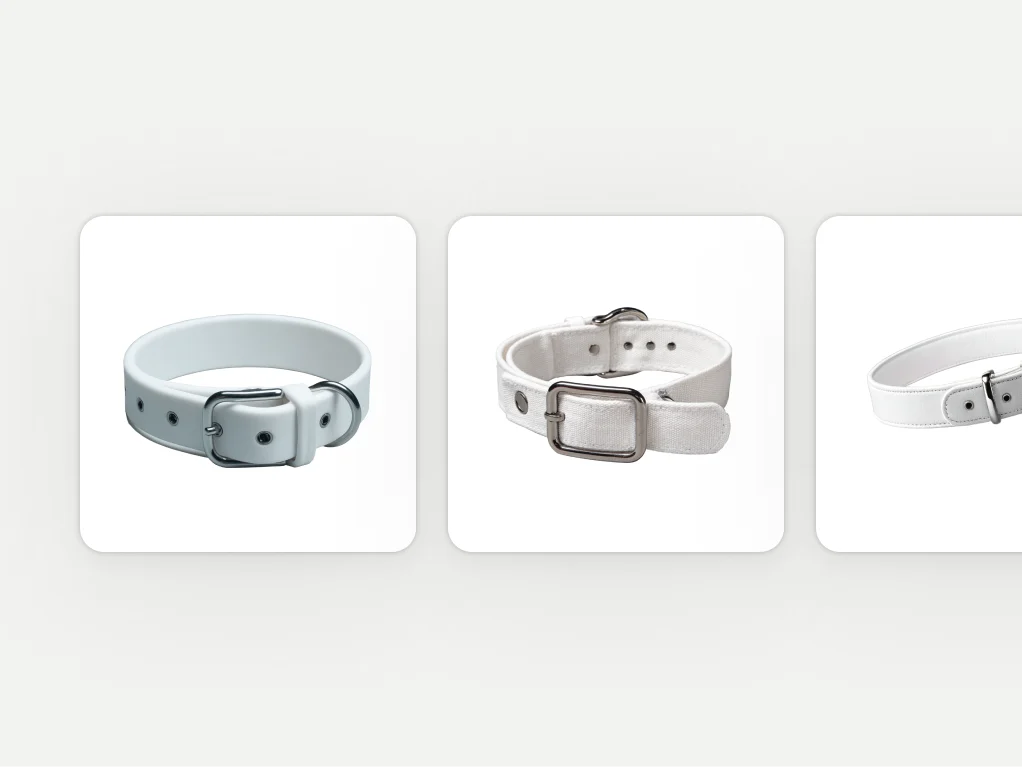 Una selección de collares para perros en blanco.