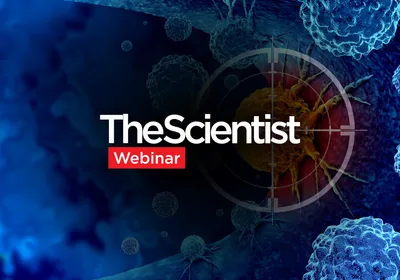 Standardizing Oncology NGS for Biomarker-Ready Translational Research