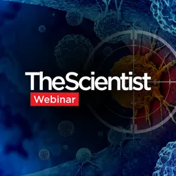 Standardizing Oncology NGS for Biomarker-Ready Translational Research