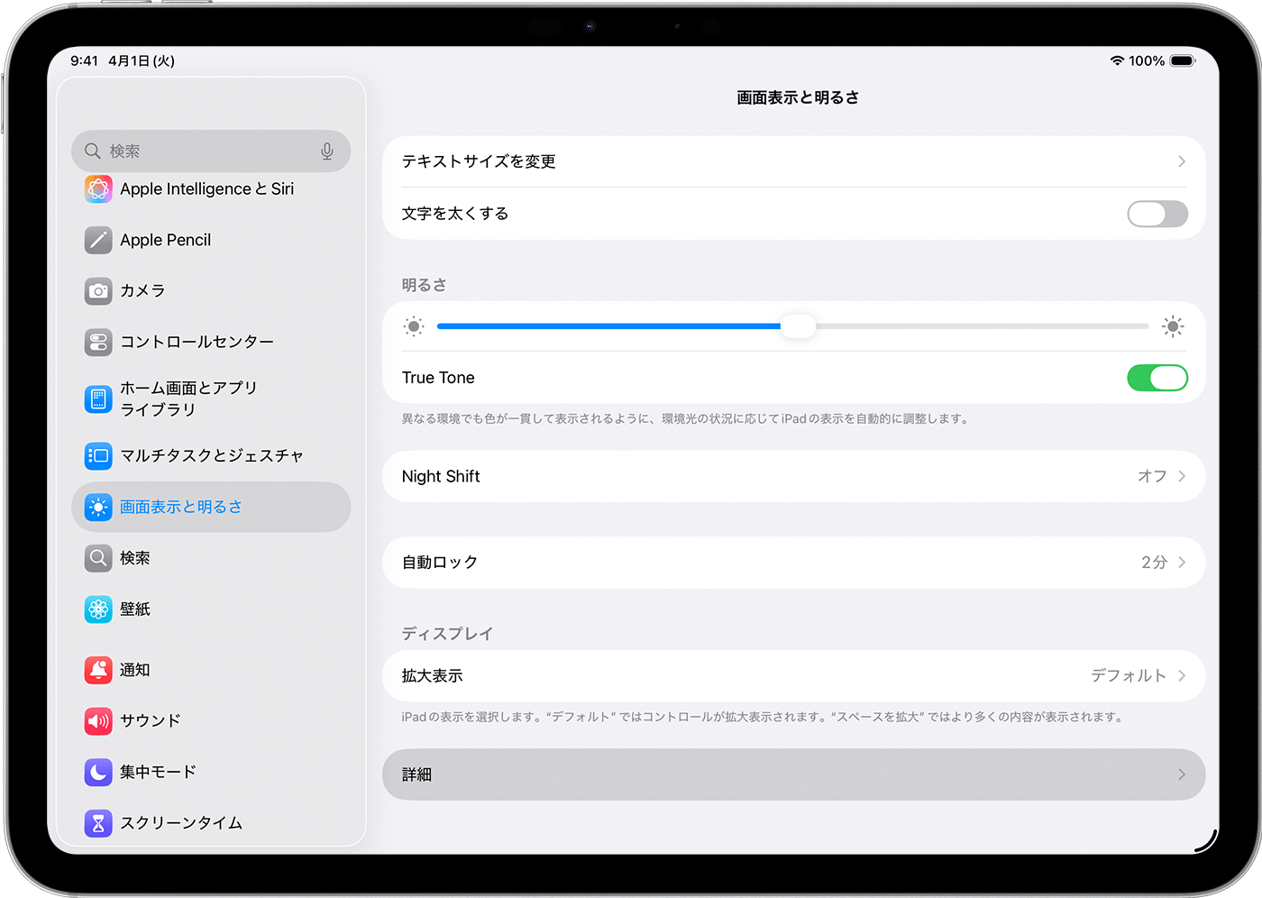 iPadに「画面表示と明るさ」の設定が表示されているところ。