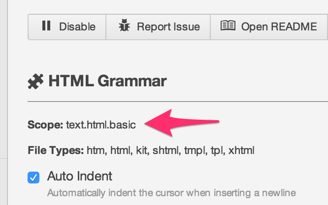 Screenshot of Language Html settings