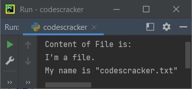python flush function