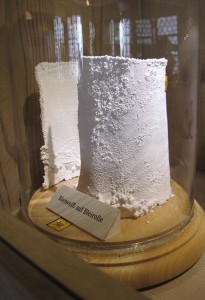 Lead_white_Duerer_house