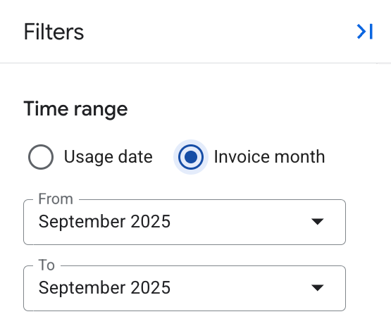 Shows the report's time range setting in the filters panel, with options
to select usage date or invoice month.