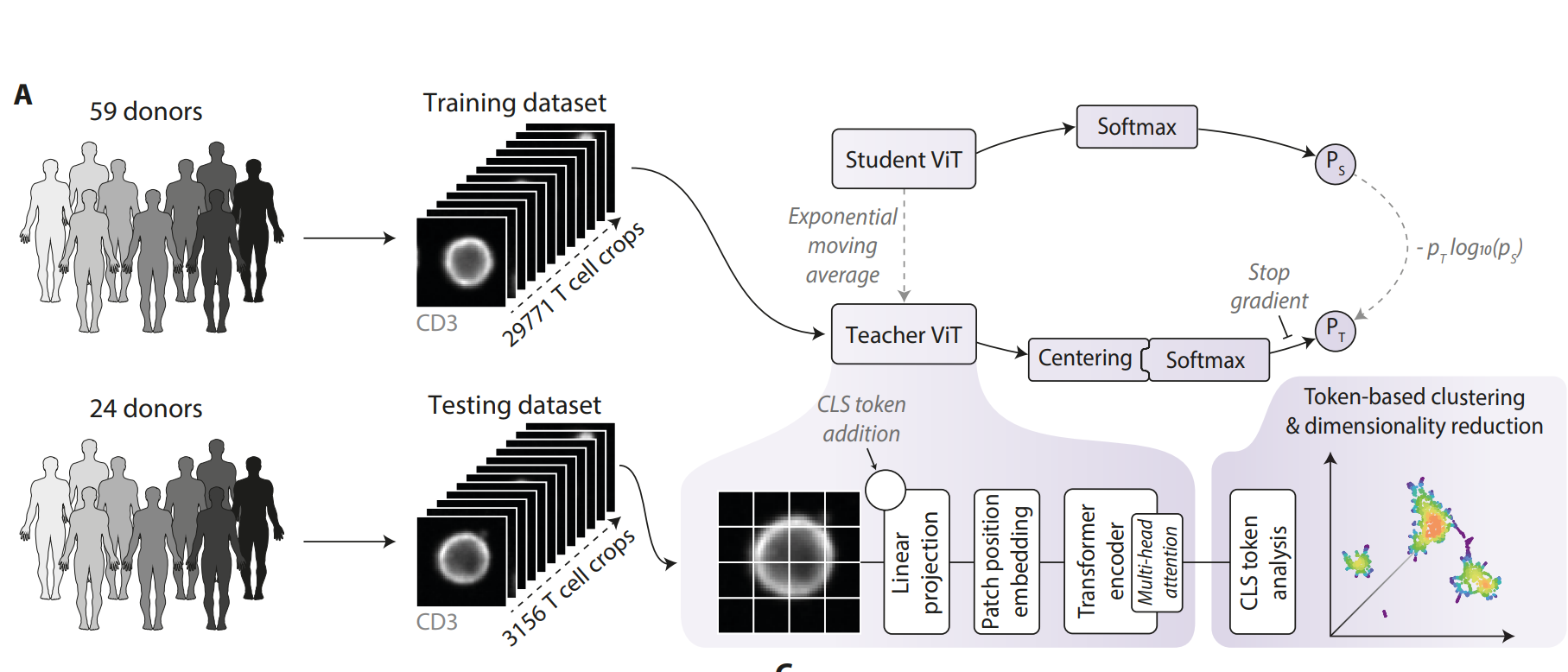 Science Sfig1A