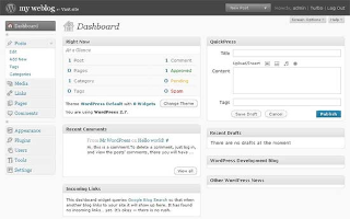 Year 2009 - The discovery of WordPress