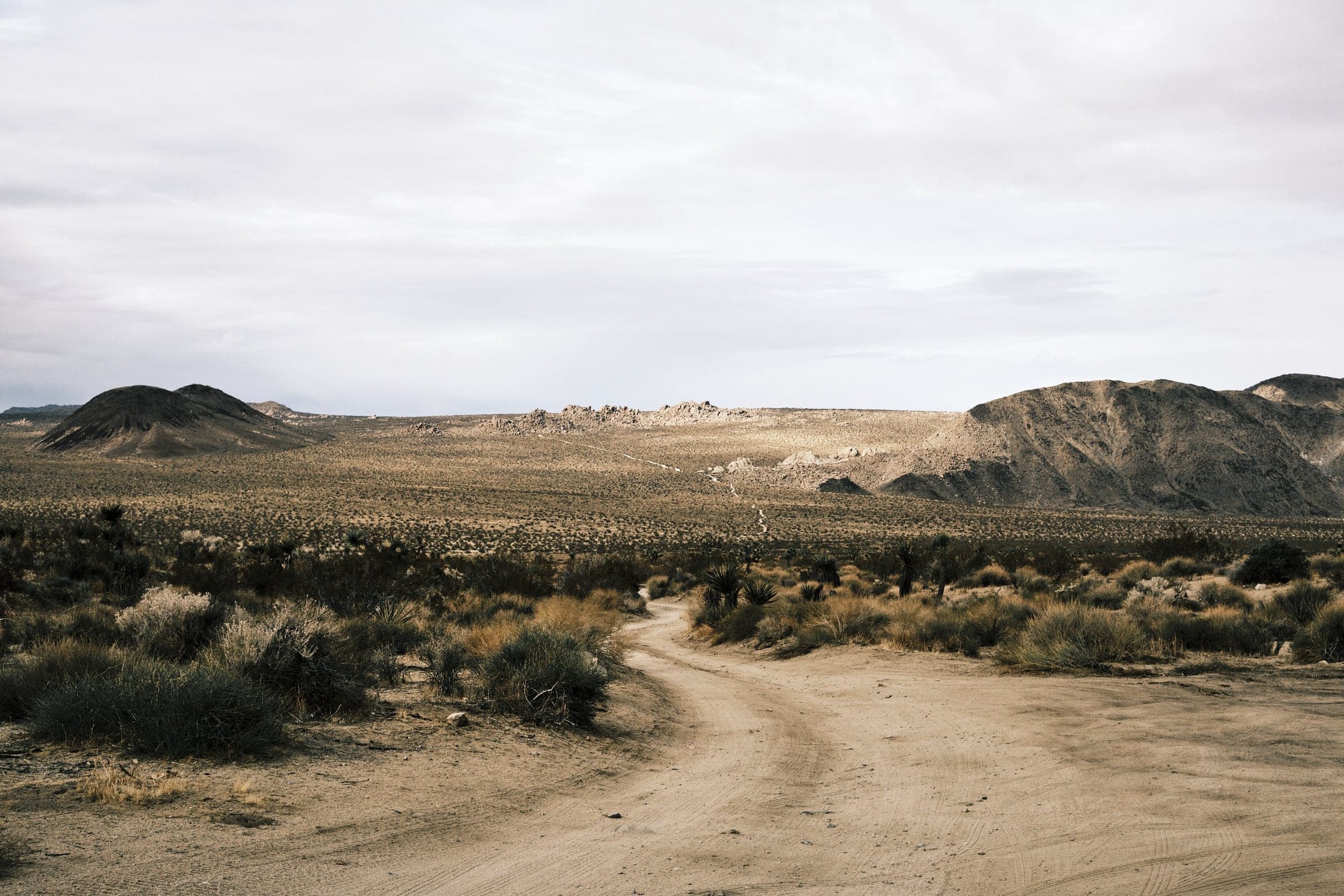 Joshua Tree National Park