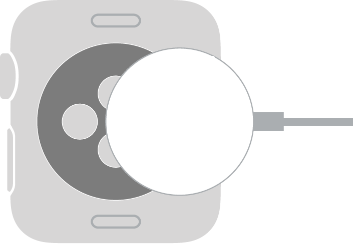 Capătul concav al cablului magnetic de încărcare Apple Watch se lipește magnetic pe spatele Apple Watch-ului.