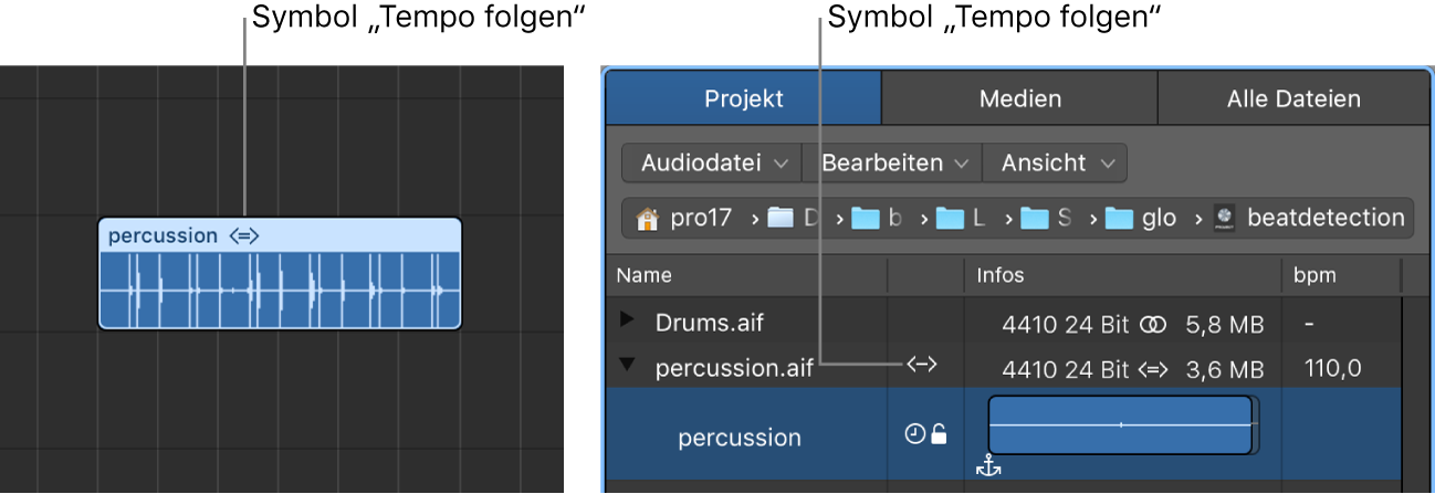 Abbildung. Symbol „Tempo folgen“ auf Audioregion und in der Übersicht „Projektaudio“