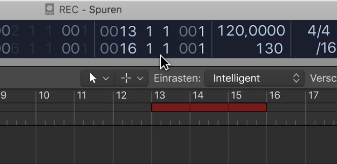 Abbildung. Autopunch-Locator-Felder in der LCD