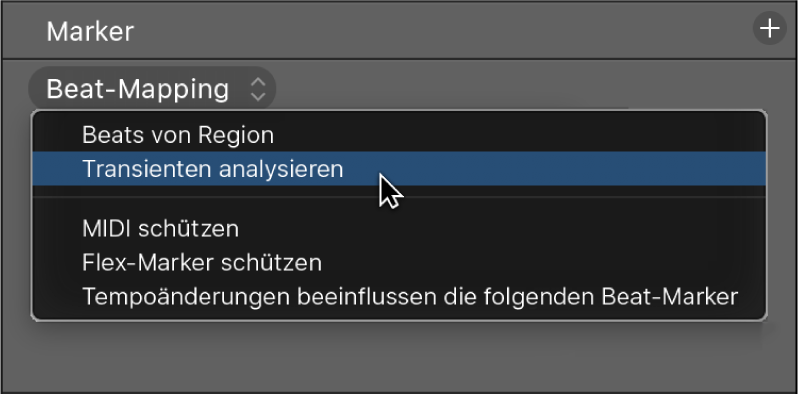 Abbildung. Spur „Beat-Mapping“ mit Anzeige von „Beats von Region“