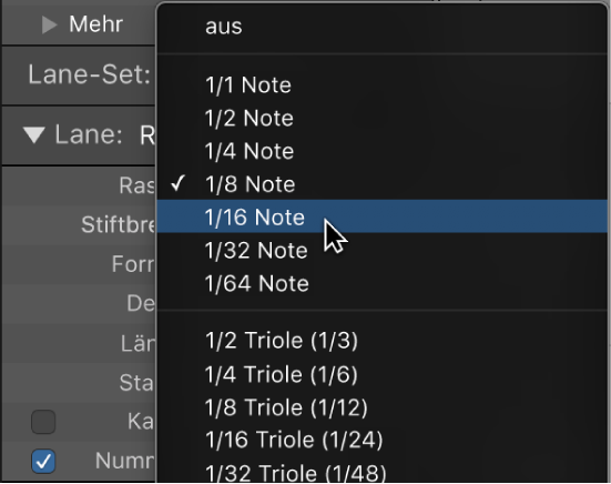 Abbildung. Einblendmenü „Raster“ im Informationsfenster