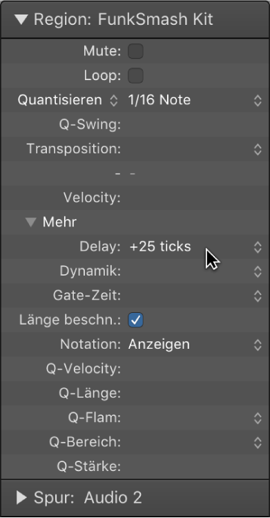 Abbildung. Parameter „Delay“ im Informationsfenster „Region“