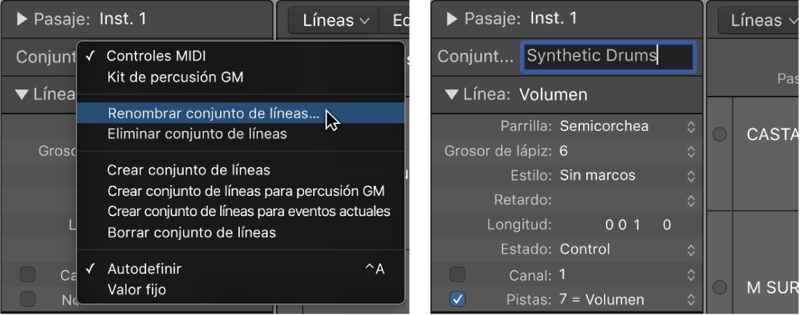 Ilustración. Se está introduciendo un nombre de conjunto de líneas en el inspector.
