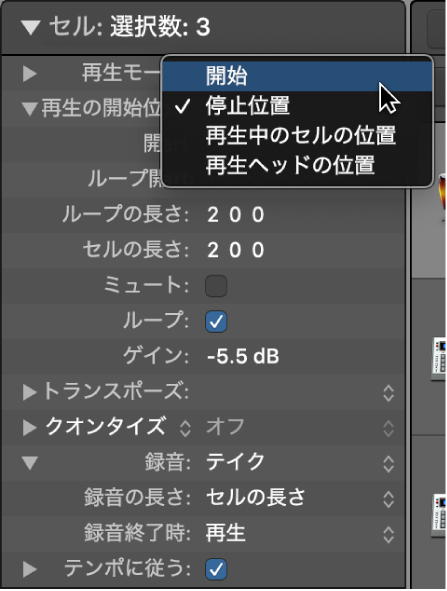 図。セルインスペクタの「再生の開始位置」設定。