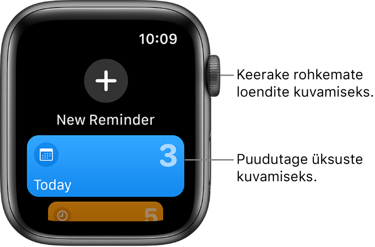 Rakenduses Reminders kuvatakse ülaosas suurt nuppu New Reminder. Selle all on loend Today. Loendis olevate üksuste kuvamiseks puudutage seda või keerake rohkemate loendite kuvamiseks Digital Crowni.