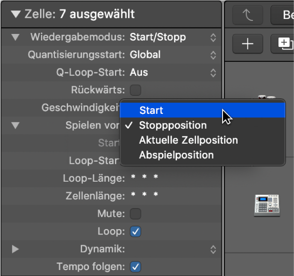 Abbildung. Einstellung „Spielen von“ im Informationsfenster „Zelle“