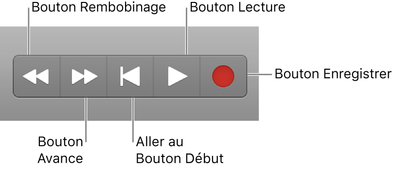Figure. Boutons de transport de base : Rembobinage, Avance, Arrêt, Lecture et Enregistrer.