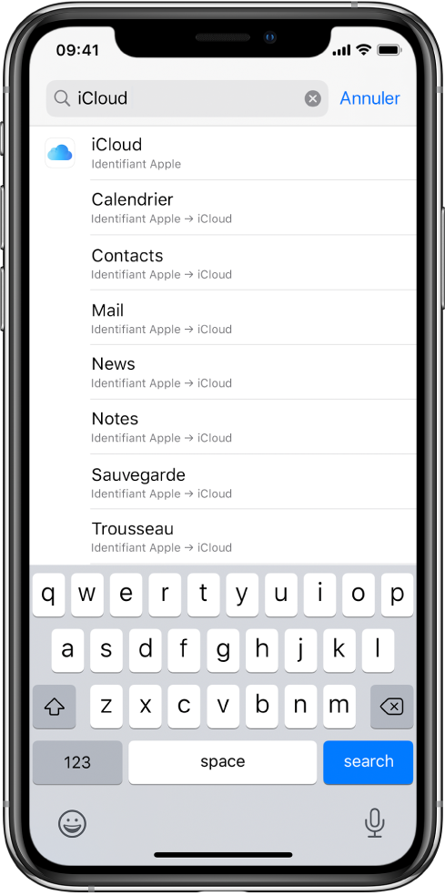 L’écran des réglages de recherche, avec le champ de recherche en haut. Le terme de recherche « iCloud » apparaît dans le champ de recherche, et les réglages trouvés s’affichent dans la liste située dessous.