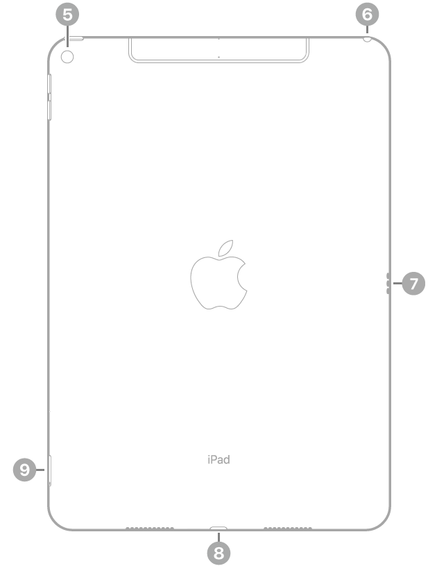 La vue de dos de l’iPad, avec des légendes liées aux éléments suivants, dans le sens horaire à partir du coin supérieur gauche : appareil photo, prise casque, Smart Connector, connecteur Lightning et support pour carte SIM (Wi-Fi + Cellular).