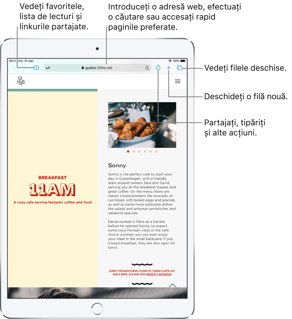 O pagină web deschisă în Safari, cu următoarele comenzi în partea de sus, de la stânga la dreapta: butoanele Înapoi, Înainte și Favorite, câmpul de adresă, butoanele Partajați, Filă nouă și Pagini.