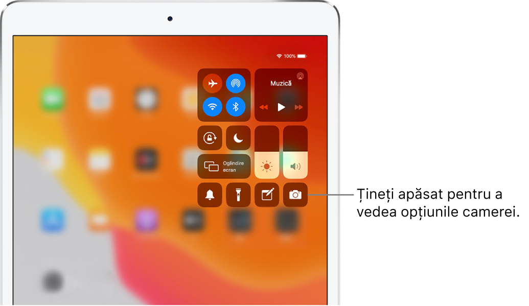 Comenzi pentru modul Avion, date celulare, Wi-Fi și Bluetooth în grupul din stânga sus din centrul de control pentru modelele de iPad Wi-Fi + Cellular. O explicație pentru comanda Cameră cu instrucțiunea de a ține apăsată pictograma Camera (în dreapta jos) pentru a vedea mai multe opțiuni ale camerei.