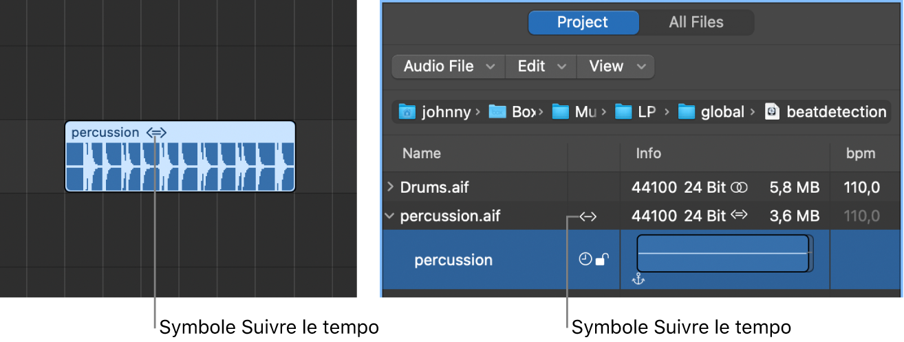 Figure. Symbole Suivre le tempo sur une région audio et dans le navigateur audio du projet.