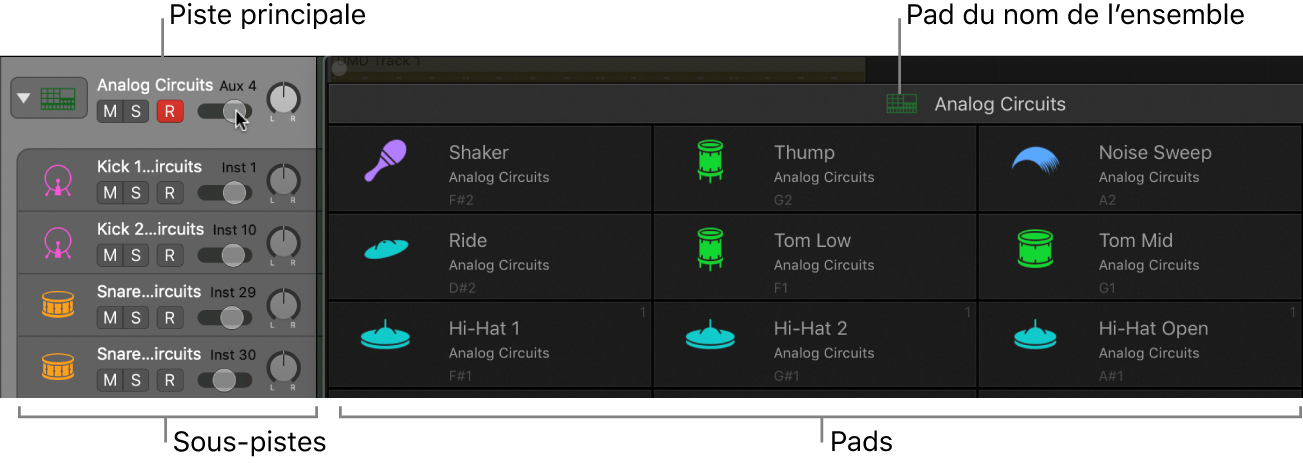 Figure. Drum Machine Designer en regard de la piste principale et des sous-pistes correspondantes.