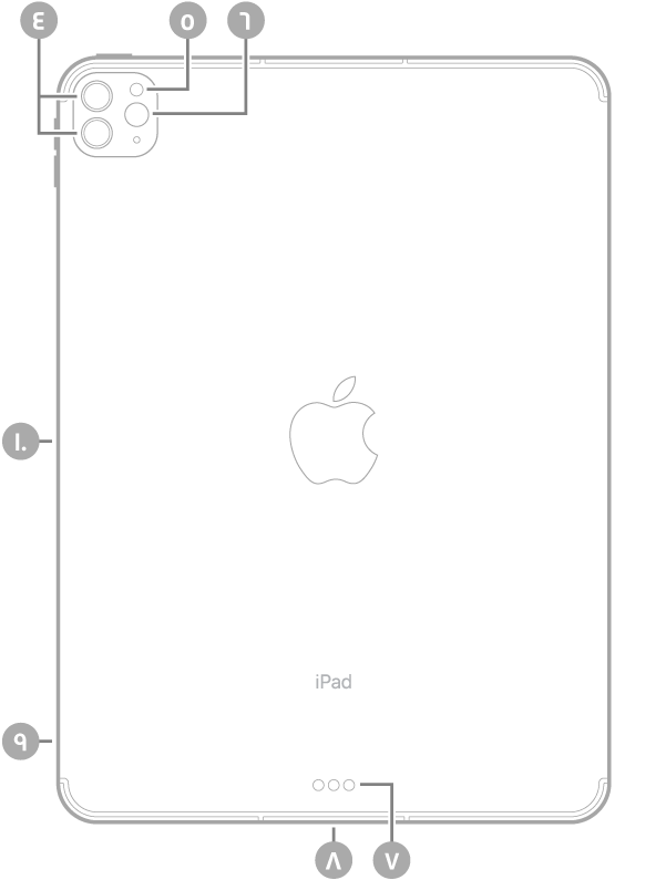 عرض للجزء الخلفي من iPad Pro مع وسائل شرح من أعلى اليسار في اتجاه عقارب الساعة: الكاميرات الخلفية والفلاش و Smart Connector و Thunderbolt / USB 4 وحامل SIM (في طرز Wi-Fi + Cellular) والموصل المغناطيسي لـ Apple Pencil.