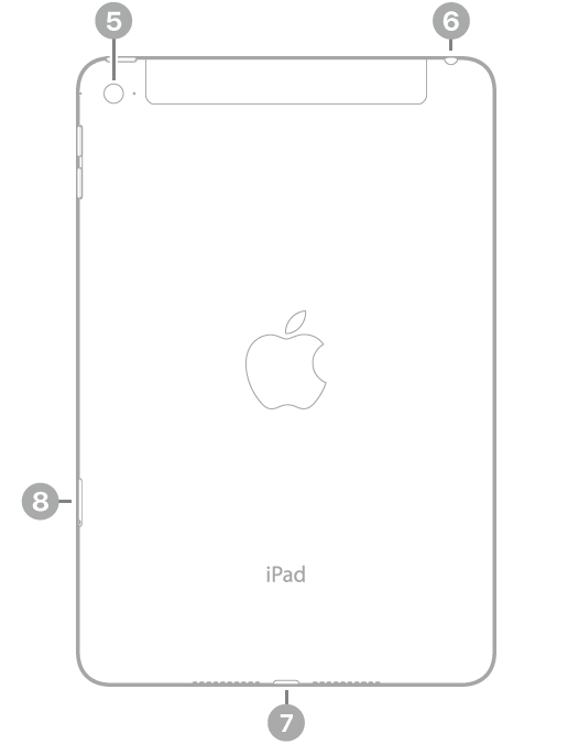 Die Rückansicht des iPad mini mit Hinweisen im Uhrzeigersinn oben links beginnend: Rückwärtige Kamera, Kopfhöreranschluss, Lightning Connector und SIM-Fach (Wi-Fi + Cellular).