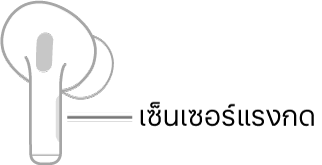 ภาพประกอบของ AirPod ข้างขวาที่แสดงตำแหน่งของเซ็นเซอร์แรงกด เมื่อใส่ AirPod ลงในหูแล้ว เซ็นเซอร์แรงกดจะอยู่ที่ขอบด้านบนสุดของก้าน