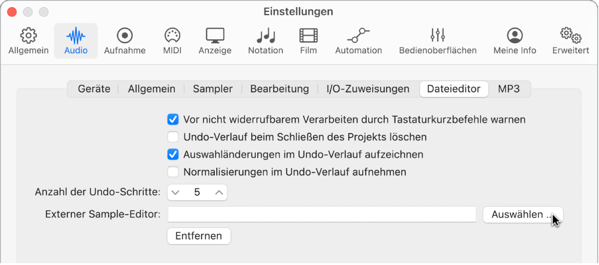Abbildung. Bereich „Audiodateieditor“ in den Audioeinstellungen