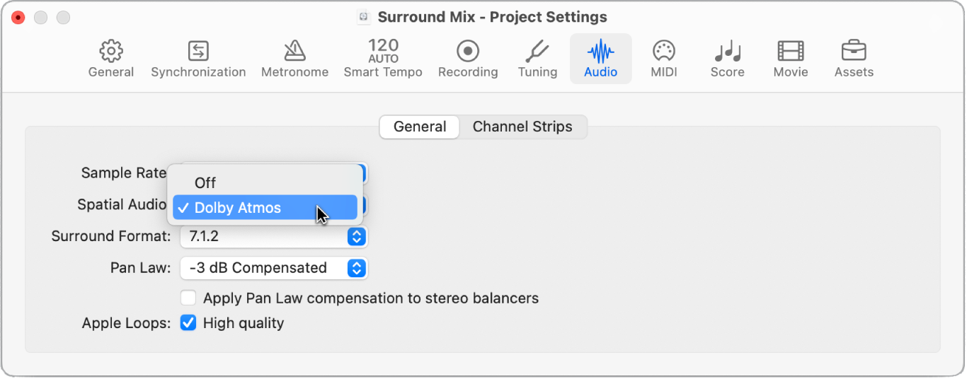 Figure. Turn on spatial audio in the project settings.