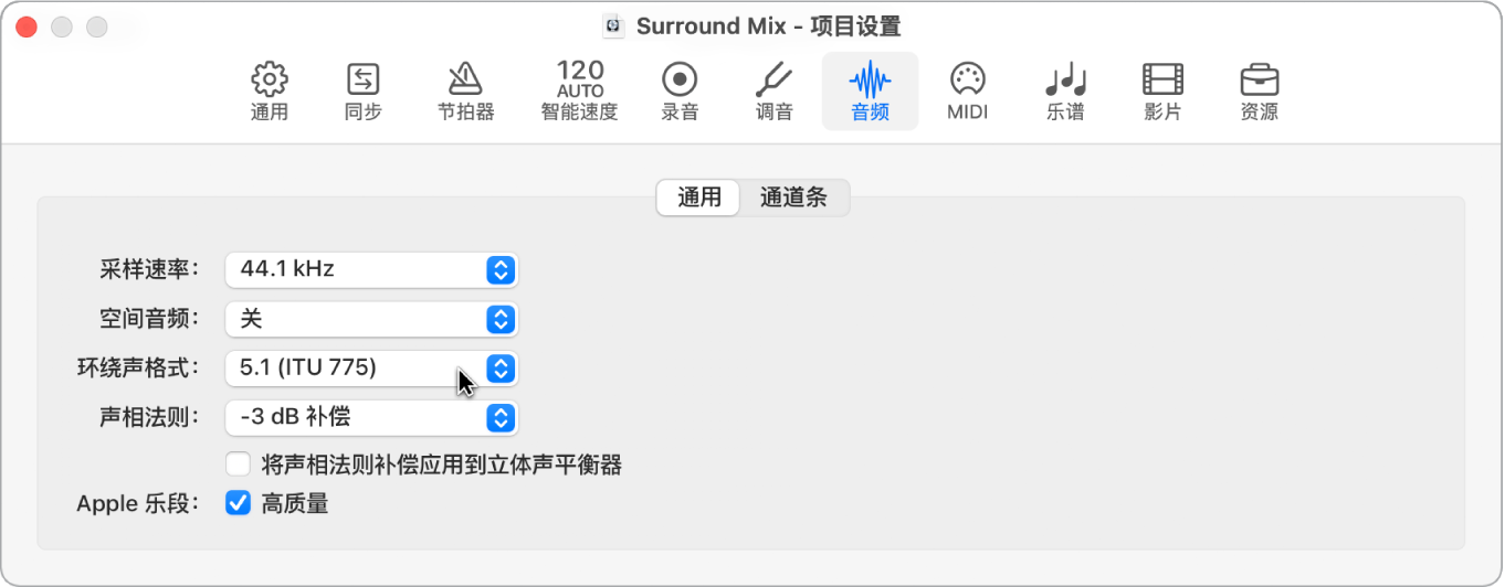 图。音频项目设置面板。