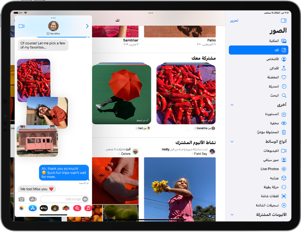 تطبيق الصور يملأ الشاشة. تطبيق الرسائل مفتوح في نافذة Slide Over على الجانب الأيسر من الشاشة.