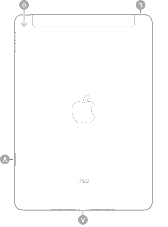 عرض للجزء الخلفي من iPad Air 2 مع وسائل شرح للكاميرا الخلفية في أعلى اليسار، ومقبس سماعة الرأس في أعلى اليمين، وموصل Lightning في أسفل الوسط، وحامل SIM (في طرز Wi-Fi + Cellular) في أسفل اليسار.