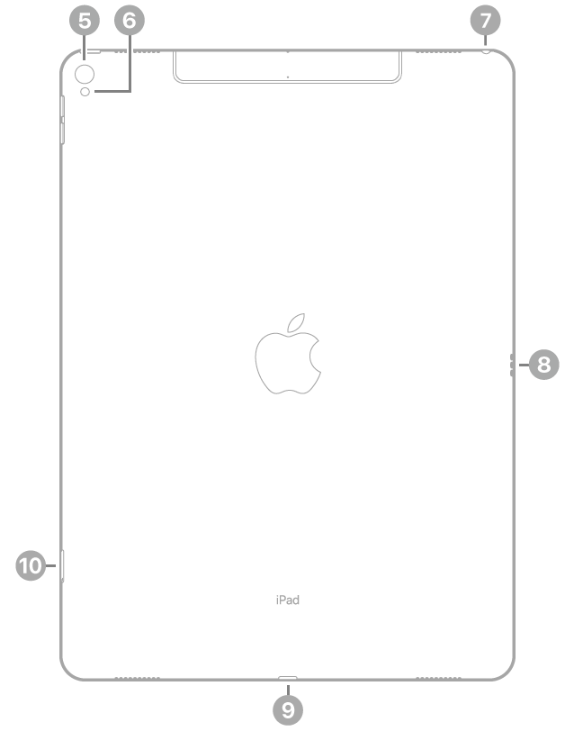 The back view of iPad Pro with callouts to the rear camera and flash at the top left, the headphone jack at the top right, the Smart Connector on the right, the Lightning connector at the bottom center, and the SIM tray (Wi-Fi + Cellular) at the bottom left.