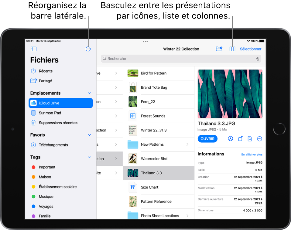 Un emplacement iCloud Drive affichant des boutons pour réorganiser la barre latérale, pour trier en fonction du nom, de la date, de la taille et des tags, et pour basculer entre la présentation par liste et la présentation par icônes.