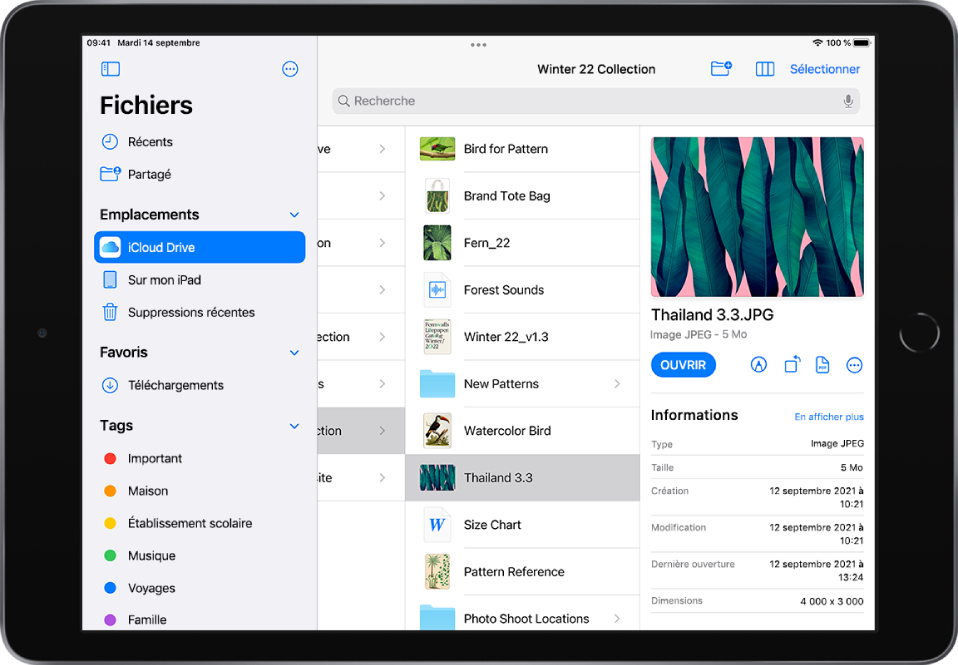 L’app Fichiers avec la barre latérale Explorer sur la gauche et les dossiers de l’emplacement iCloud Drive sur la droite.