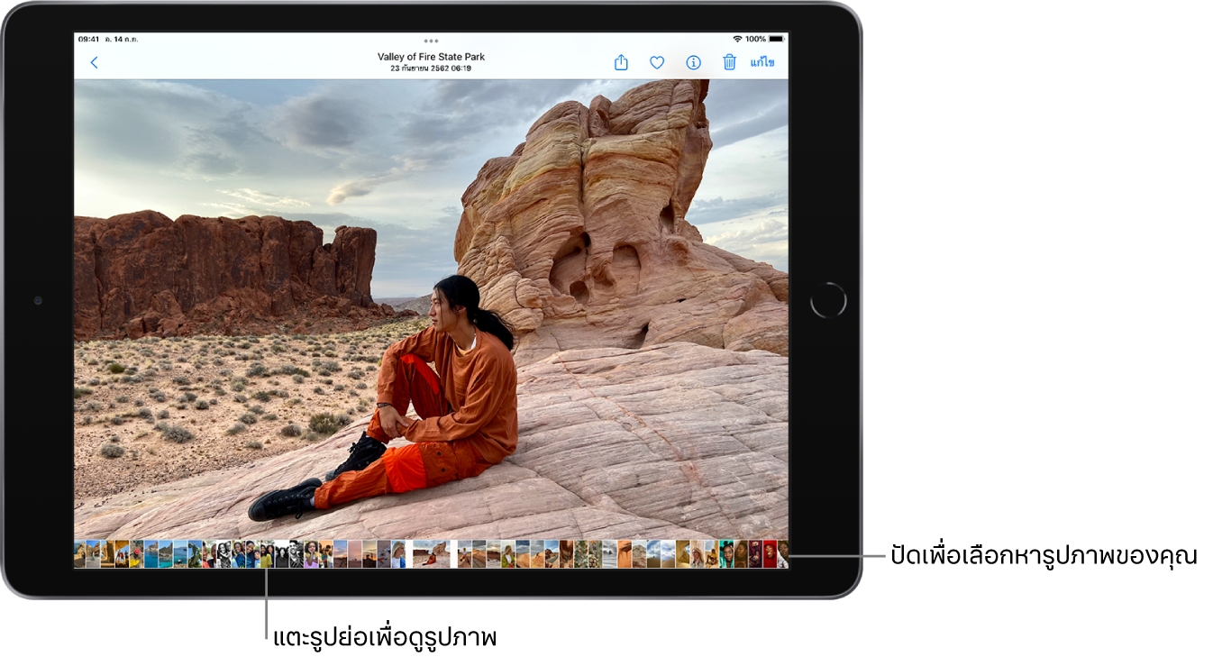 รูปภาพในโหมดเต็มหน้าจอที่มีรูปย่อของรูปภาพอื่นๆ จากคลังทางด้านล่างสุดของหน้าจอ ที่ด้านซ้ายบนคือปุ่มย้อนกลับ พร้อมกับมีปุ่มแชร์ รายการโปรด ข้อมูล ลบ และแก้ไขอยู่ตามแนวด้านบนสุด
