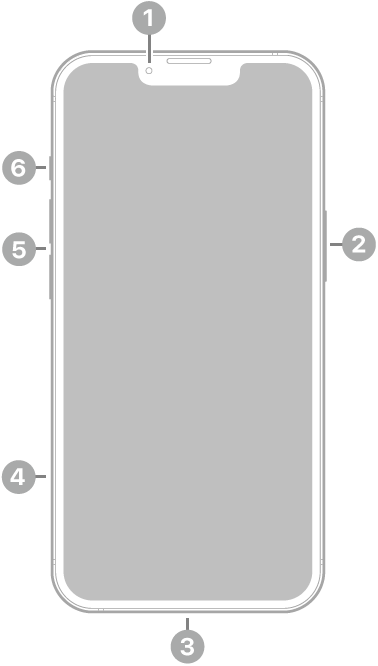 Anvers de l’iPhone 13. La càmera frontal és a la part superior central. El botó lateral és al costat dret. El connector Lightning és a la part inferior. Al costat esquerre, de baix a dalt, hi ha la safata de la SIM, els botons de volum i el selector de so/silenci.