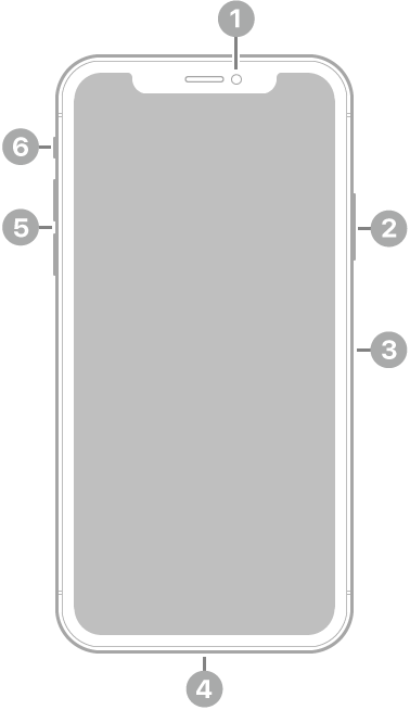 Anvers de l’iPhone XS. La càmera frontal és a la part superior central. Al costat dret, de dalt a baix, hi ha el botó lateral i la safata de la SIM. El connector Lightning és a la part inferior. Al costat esquerre, de baix a dalt, hi ha els botons de volum i el selector de so/silenci.