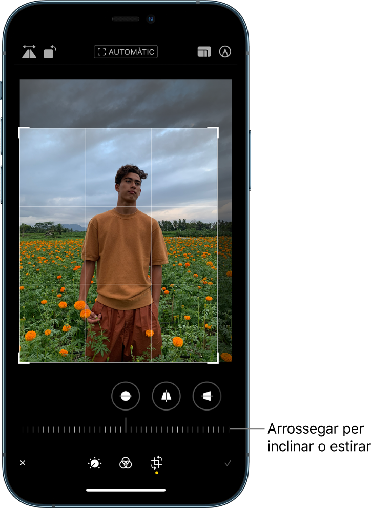 Pantalla per retallar i girar.
