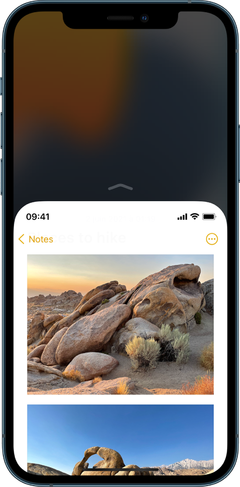 Écran de l’iPhone avec la fonction « Accès facile » activée. La partie supérieure de l’écran s’est déplacée vers le bas pour être à portée de votre pouce.